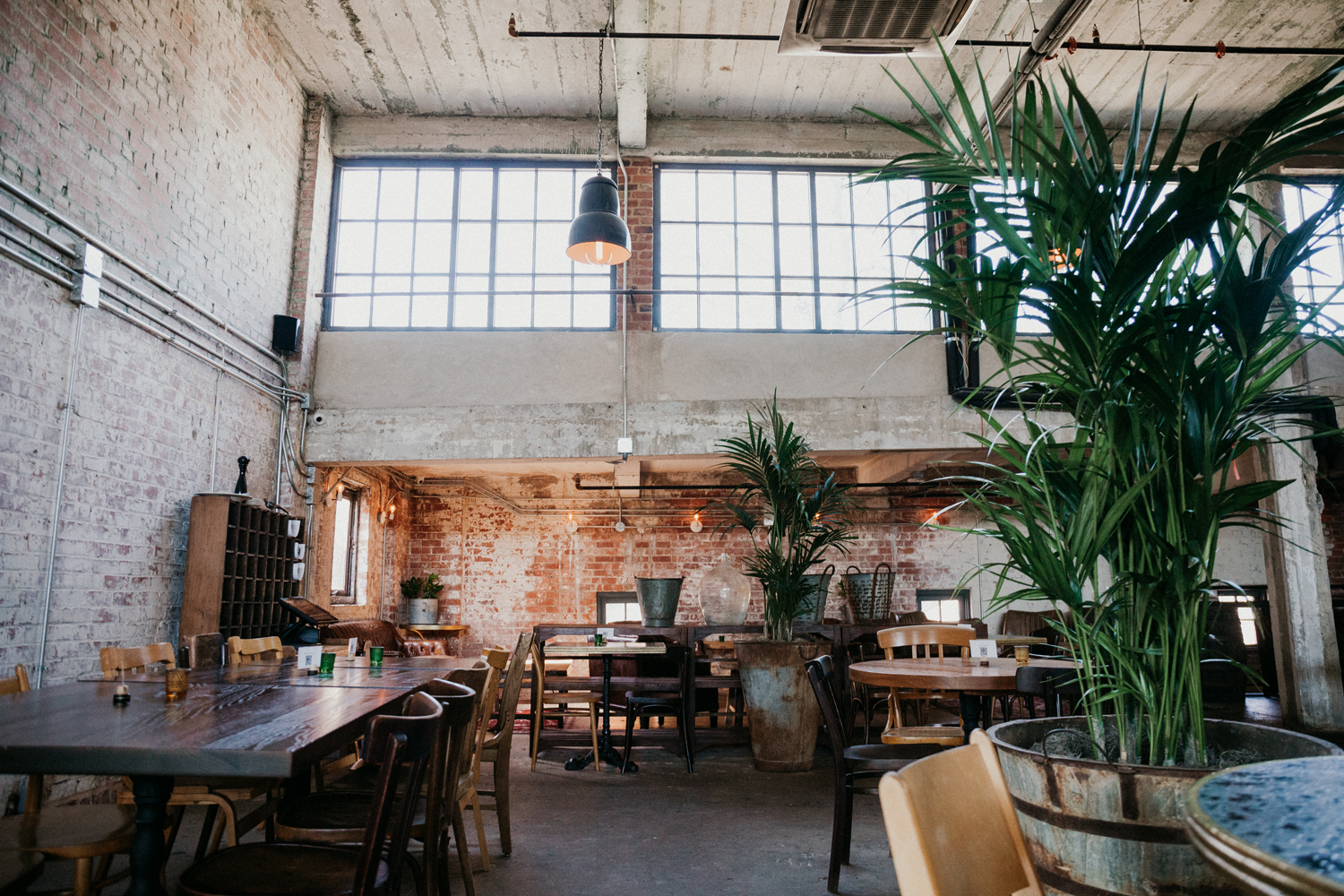 Image of Provender Hall pre-evening service, An empty restaurant in an industrial space with exposed brick and lush plants